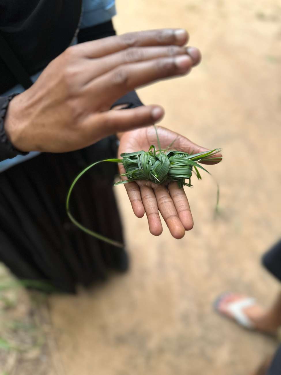Spice Farm & Cooking Class Experience